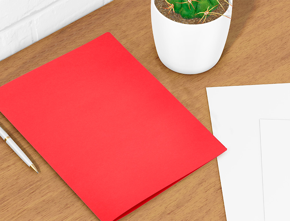 SOUS-CHEMISE LIDERPAPEL PAPIER CARTONN 180G 310X230MM DOCUMENT A4 210X297MM COLORIS PASTEL ROUGE INTENSE