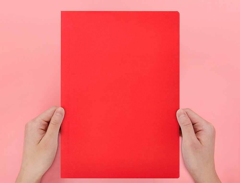 SOUS-CHEMISE LIDERPAPEL PAPIER CARTONN 180G 310X230MM DOCUMENT A4 210X297MM COLORIS PASTEL ROUGE INTENSE