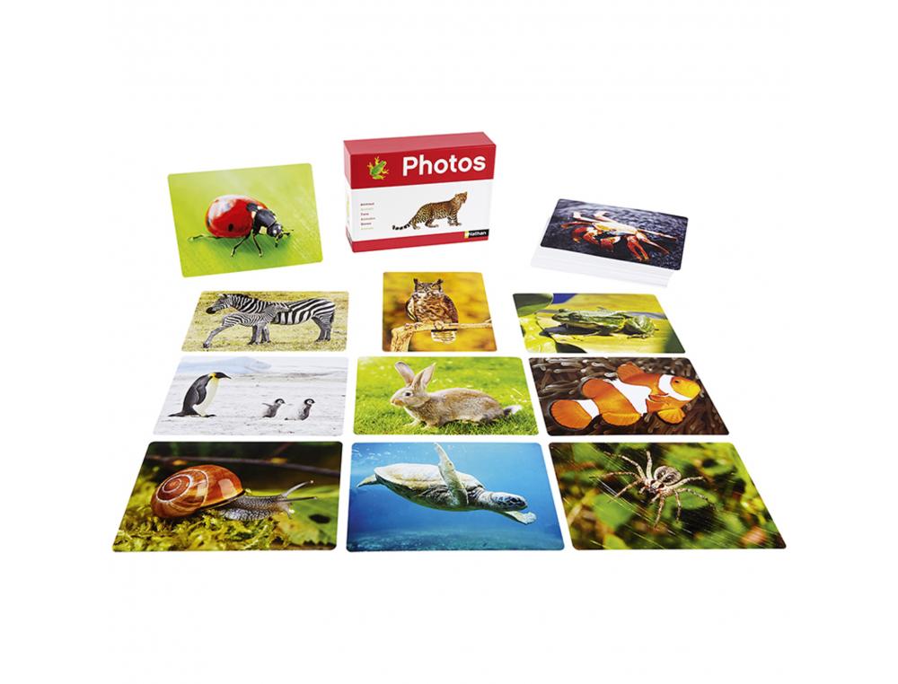 JEU DE LANGAGE ORAL PHOTOS NATHAN ANIMAUX
