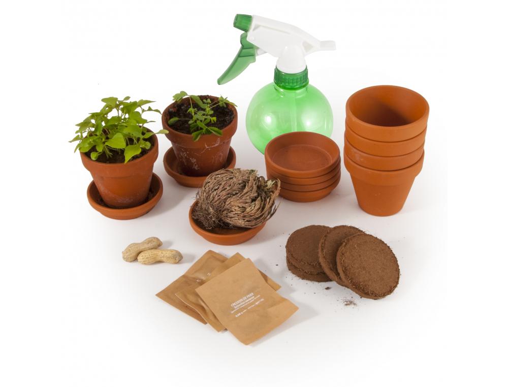 JAIRDINAGE ET BIODIVERSITE RADIS ET CAPUCINE PLANTES     EXTRAORDINAIRES PEDAGOGIQUE   ET LUDIQUE KIT COMPLET