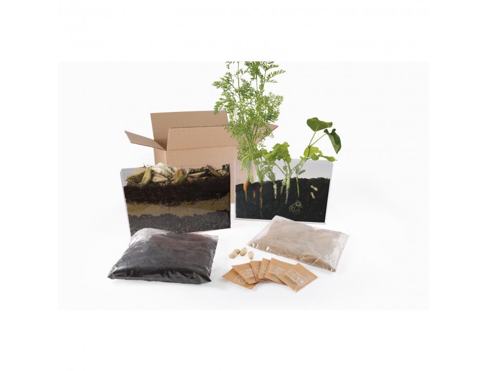 JARDINAGE ET BIODIVERSITE RADIS ET CAPUCINE VIVARIUM D  OBSERVATION RACINES POUR      JARDIN A L ECOLE RACINES ET