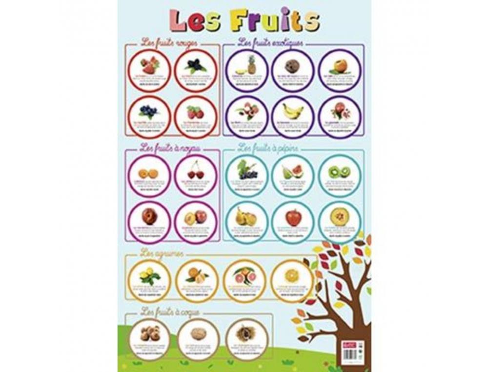 POSTERS SOUPLES BOUCHUT LES FRUITS SUPPORTS LUDIQUES      MATERIAU SOUPLE 150G 52X76 CM